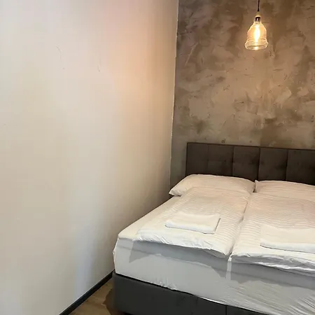 Διαμέρισμα Loft Cejl 7 *