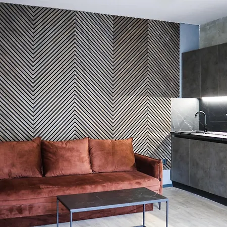 Loft Centrum Apartment Brno