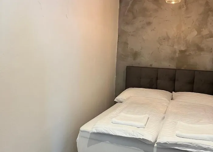 Appartement Loft Cejl 7 *