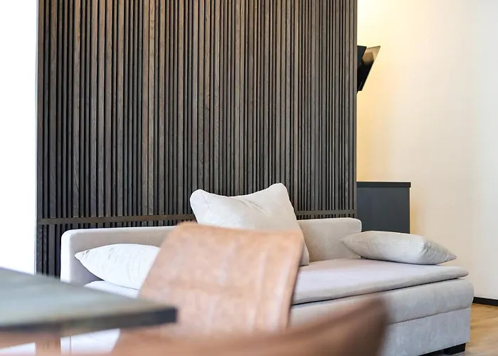 Appartement Loft Cejl 7 *